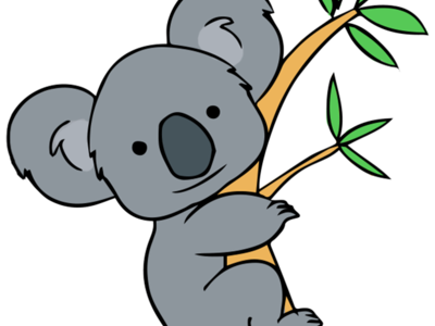 Image of Koalas 2023-2024