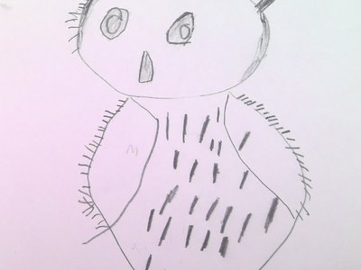 Image of Owl Drawings