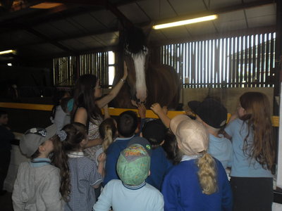 Image of KS1 Trip to Farmer Ted's